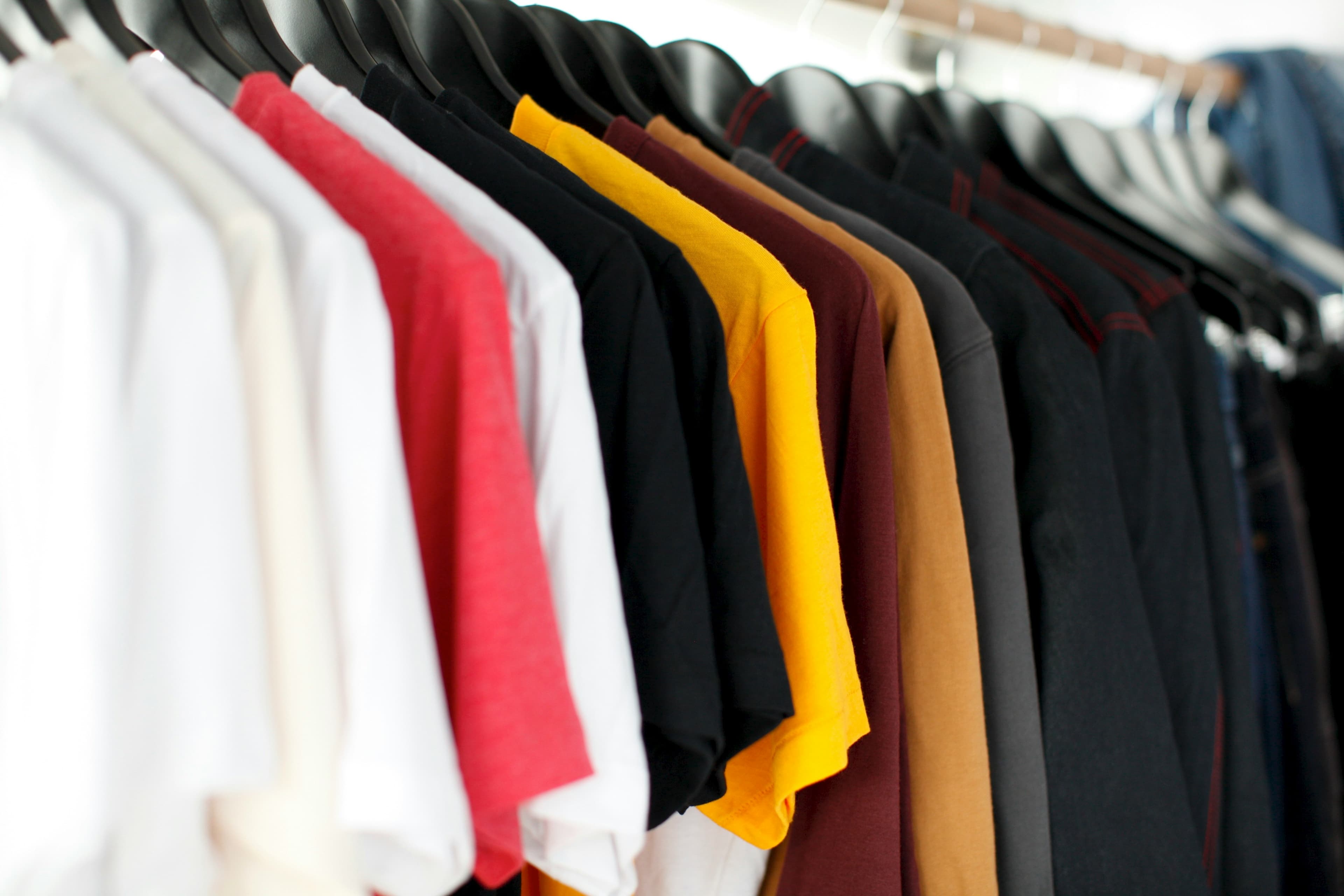 Everyday Essentials T-Shirt Collection.
